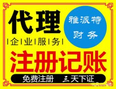 泰州雅派特老会计公司注册提供内资公司注册