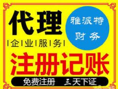 雅派特企业服务——泰州姜堰本土靠谱代理记账